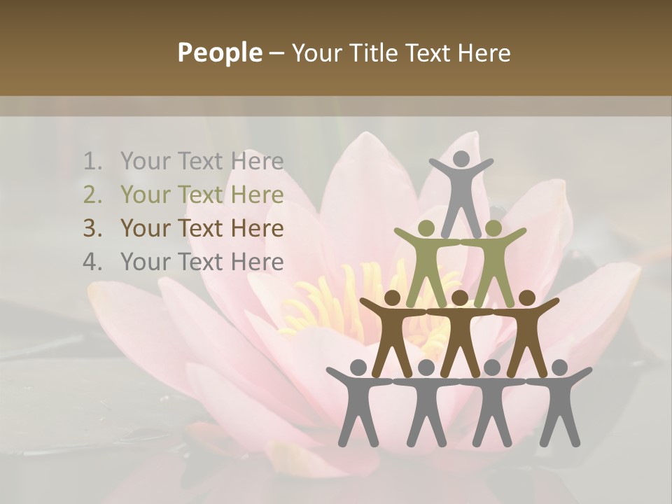 Close Aquatic Color PowerPoint Template