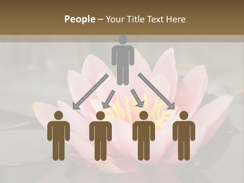 Close Aquatic Color PowerPoint Template