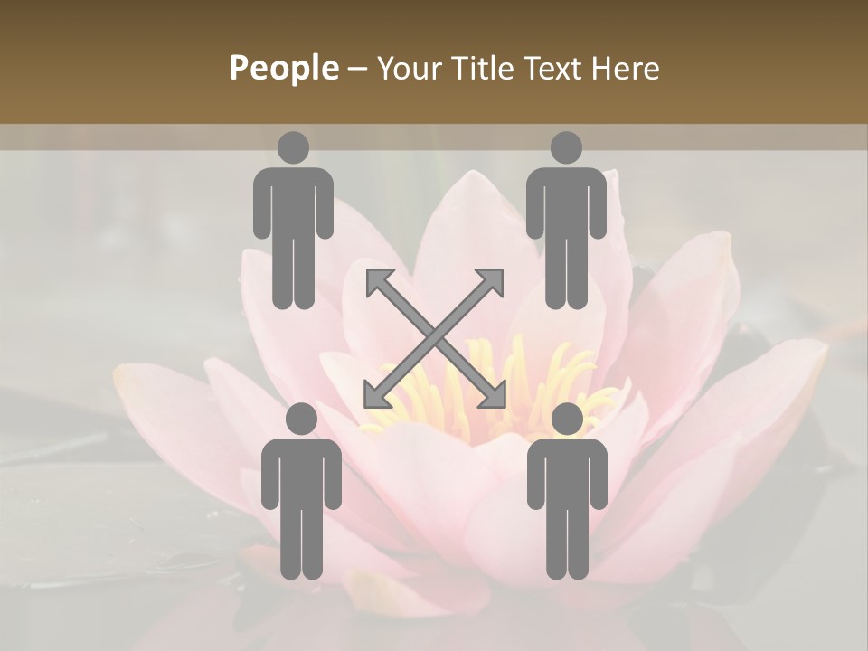 Close Aquatic Color PowerPoint Template