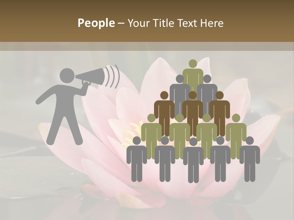 Close Aquatic Color PowerPoint Template