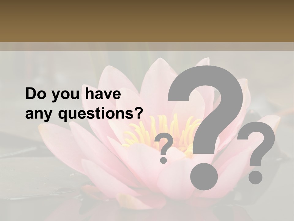 Close Aquatic Color PowerPoint Template