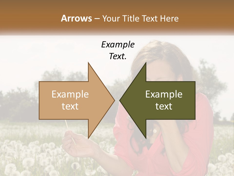 Attractive Pollen Spring PowerPoint Template