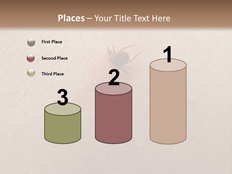Dangerous Tick Borreliose PowerPoint Template
