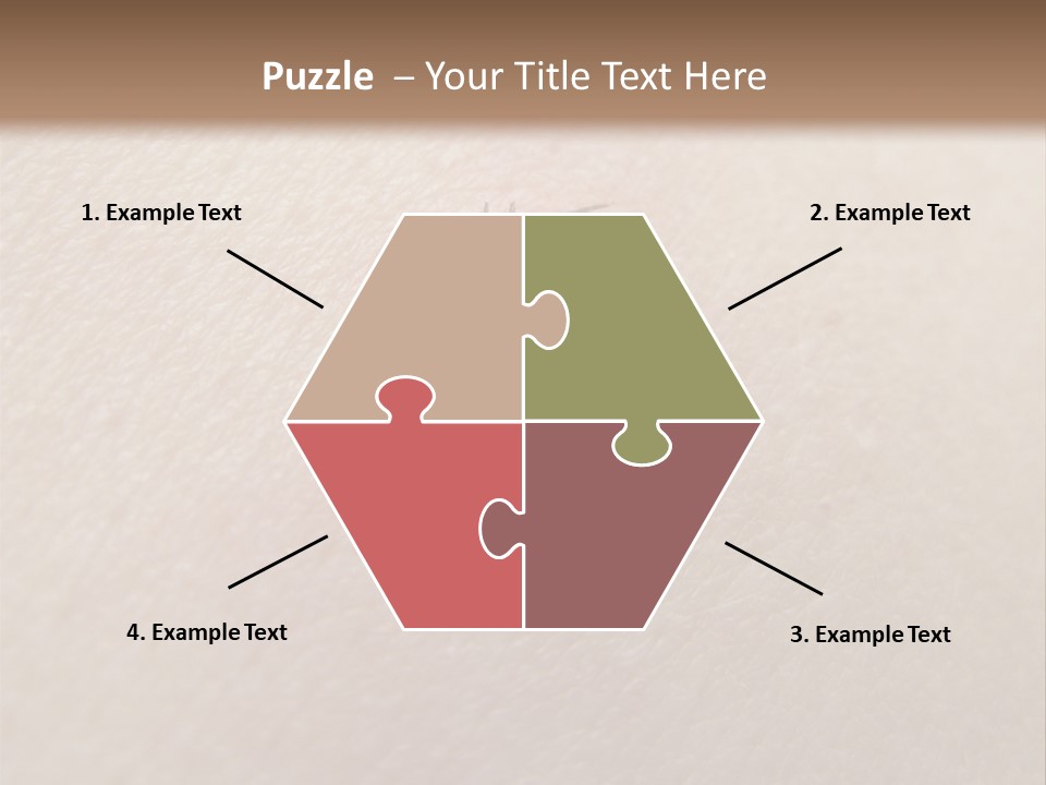 Dangerous Tick Borreliose PowerPoint Template