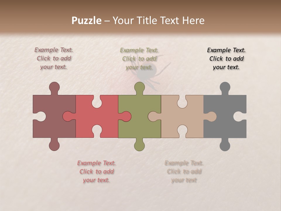 Dangerous Tick Borreliose PowerPoint Template