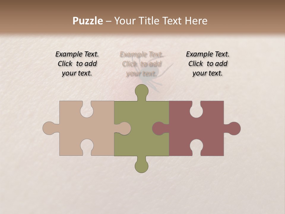Dangerous Tick Borreliose PowerPoint Template