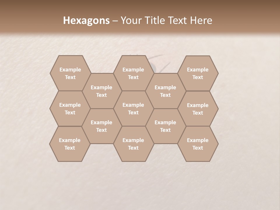 Dangerous Tick Borreliose PowerPoint Template