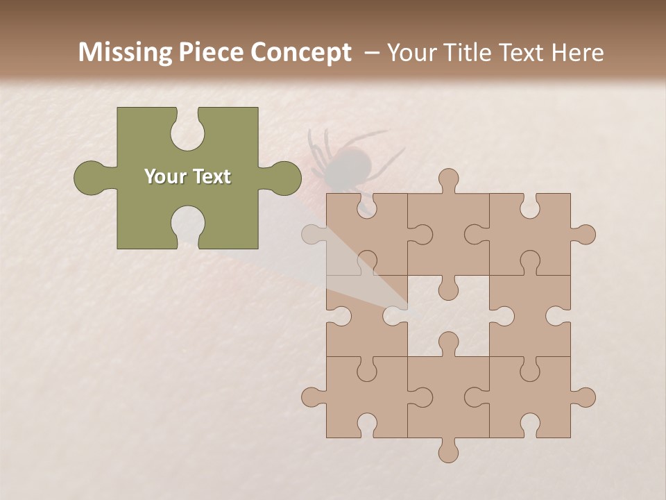 Dangerous Tick Borreliose PowerPoint Template