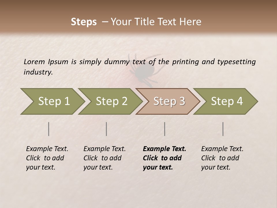 Dangerous Tick Borreliose PowerPoint Template