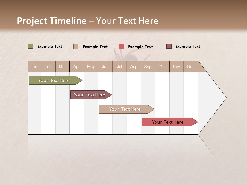 Dangerous Tick Borreliose PowerPoint Template