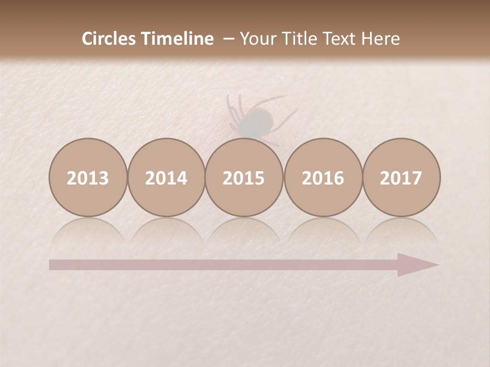 Dangerous Tick Borreliose PowerPoint Template