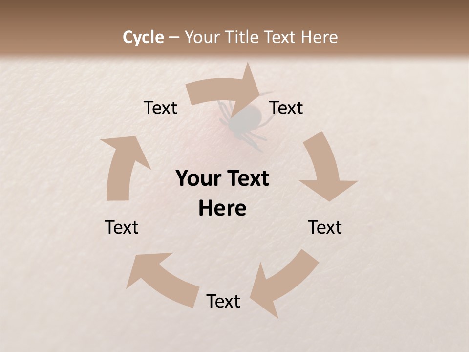 Dangerous Tick Borreliose PowerPoint Template