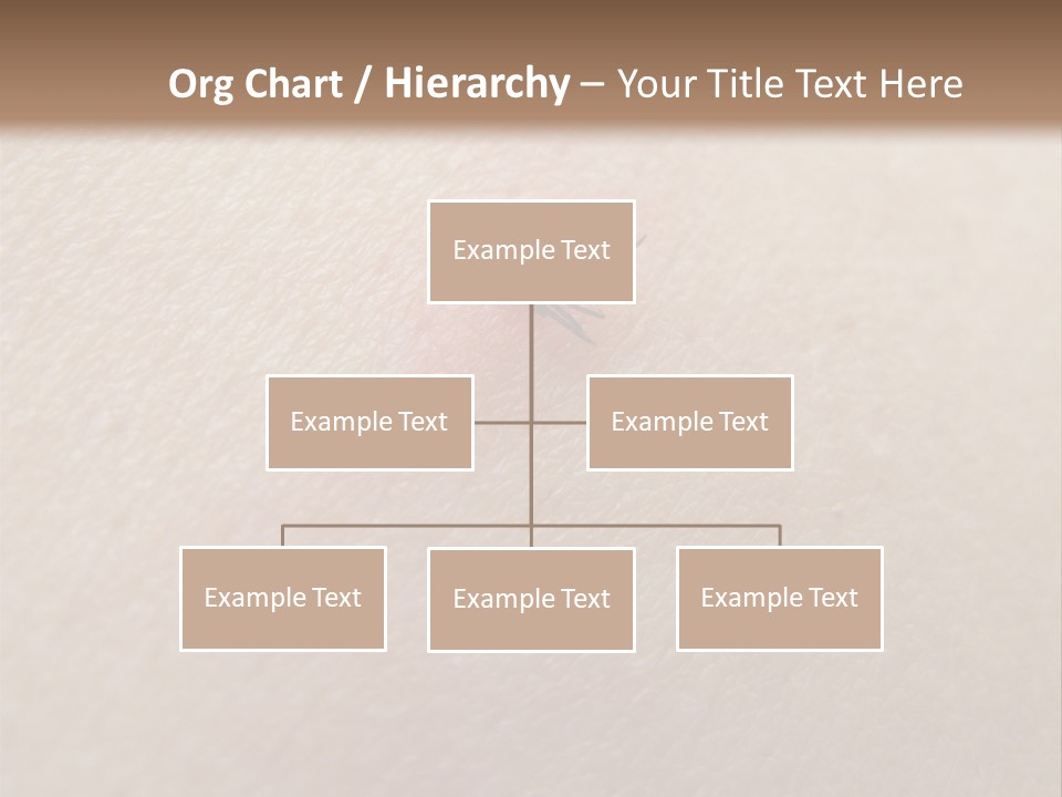 Dangerous Tick Borreliose PowerPoint Template