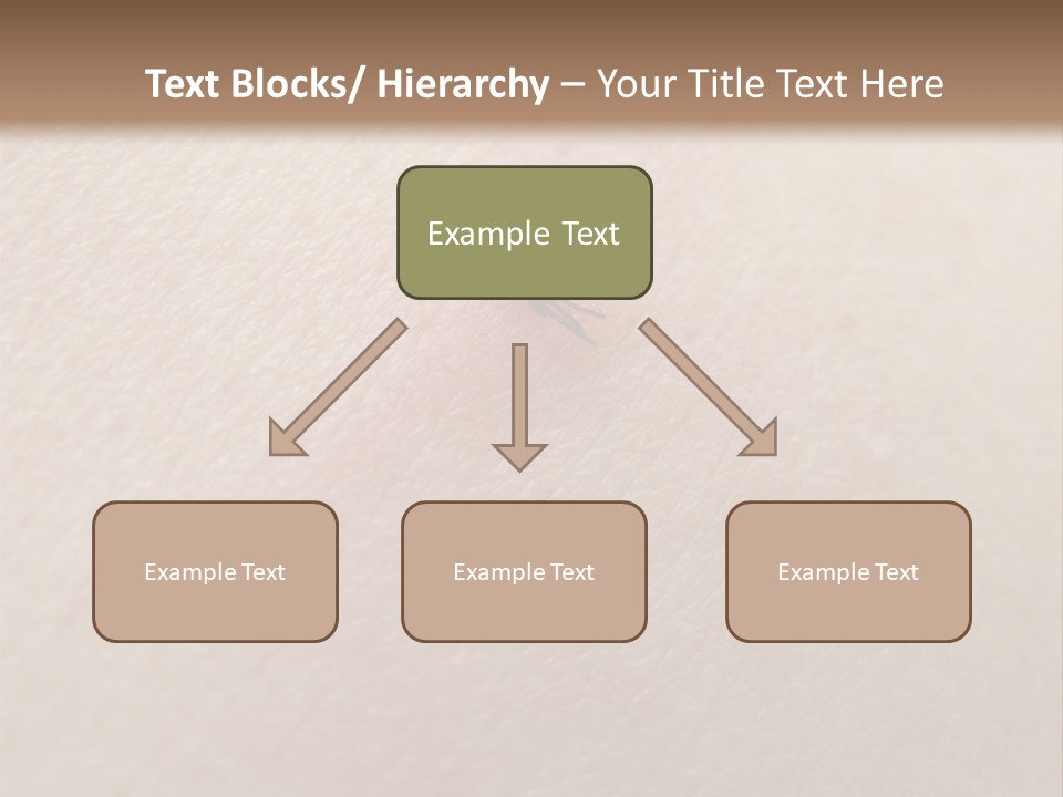 Dangerous Tick Borreliose PowerPoint Template