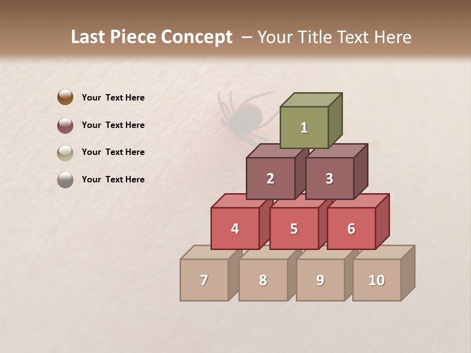 Dangerous Tick Borreliose PowerPoint Template