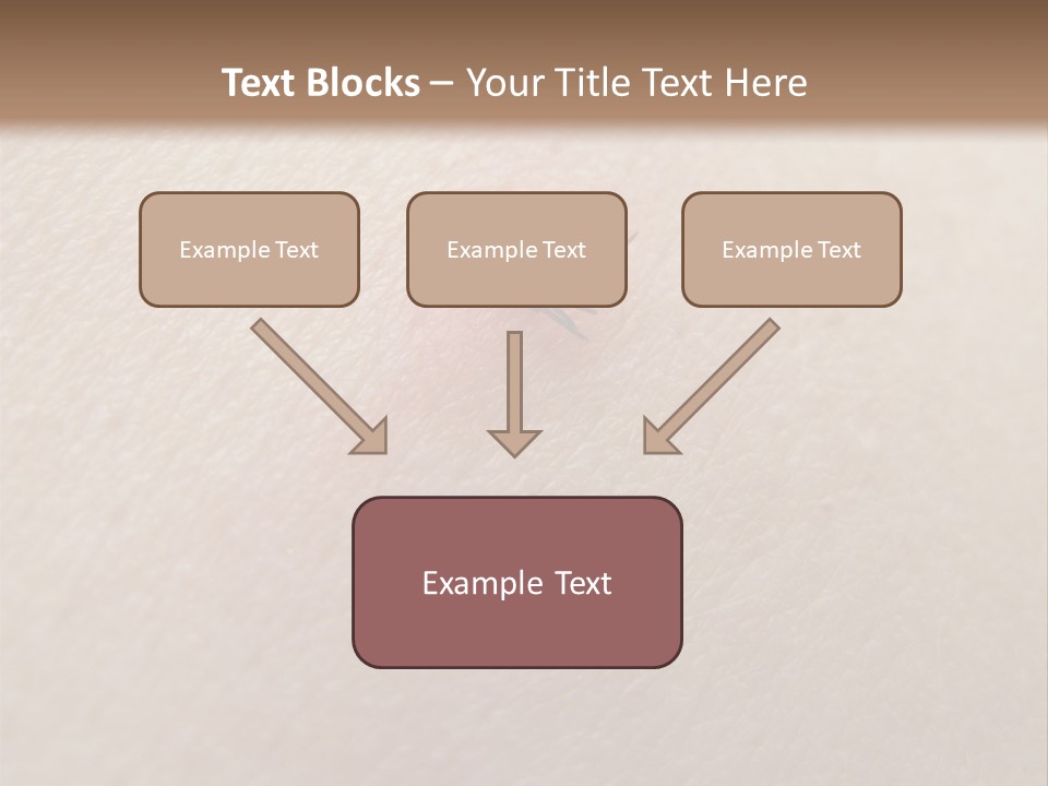 Dangerous Tick Borreliose PowerPoint Template