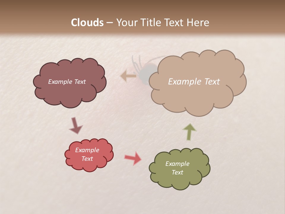 Dangerous Tick Borreliose PowerPoint Template