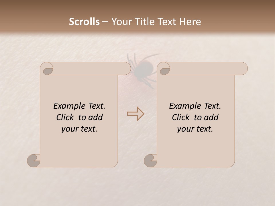 Dangerous Tick Borreliose PowerPoint Template