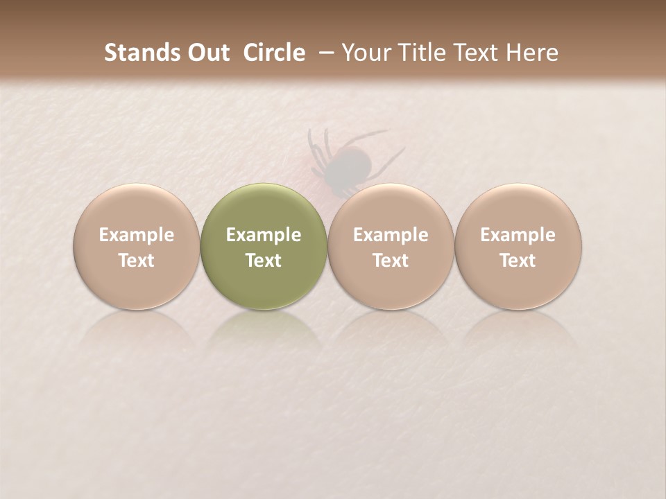 Dangerous Tick Borreliose PowerPoint Template