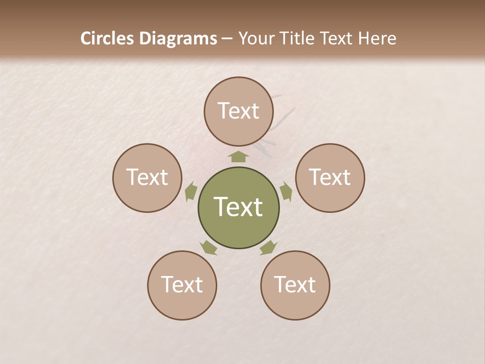 Dangerous Tick Borreliose PowerPoint Template
