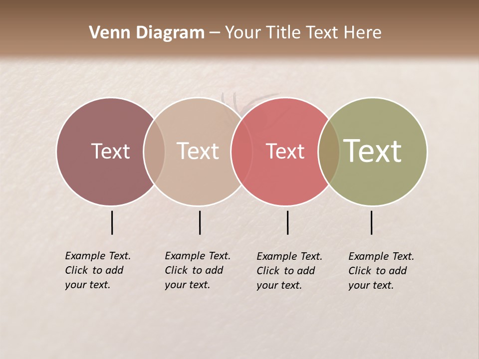 Dangerous Tick Borreliose PowerPoint Template