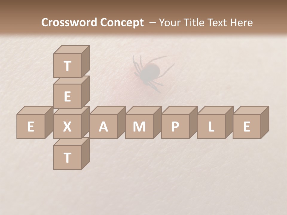 Dangerous Tick Borreliose PowerPoint Template
