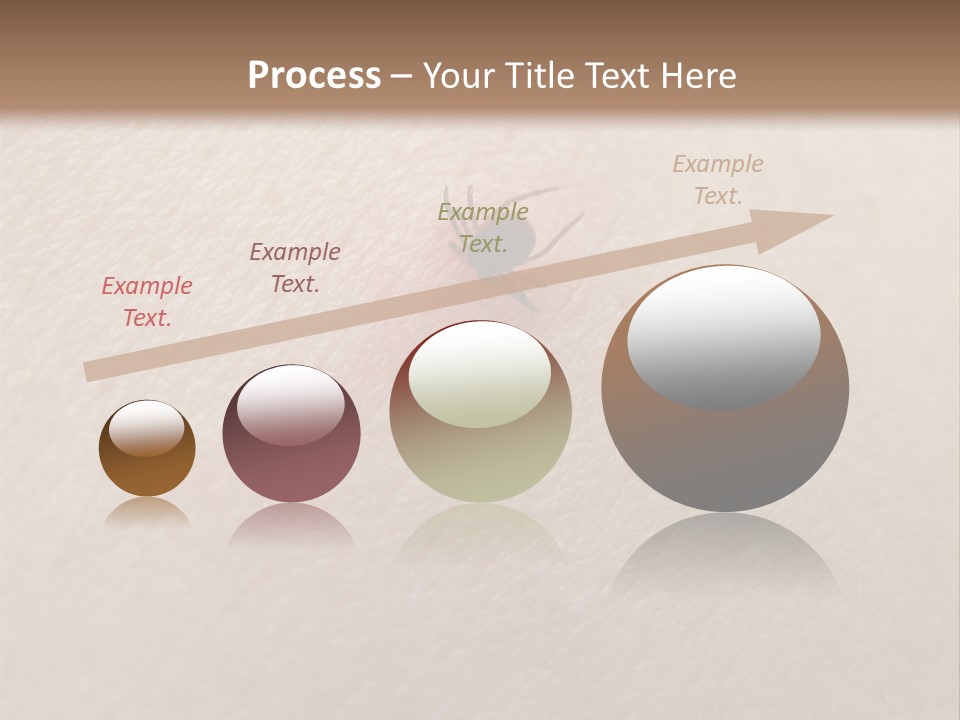 Dangerous Tick Borreliose PowerPoint Template