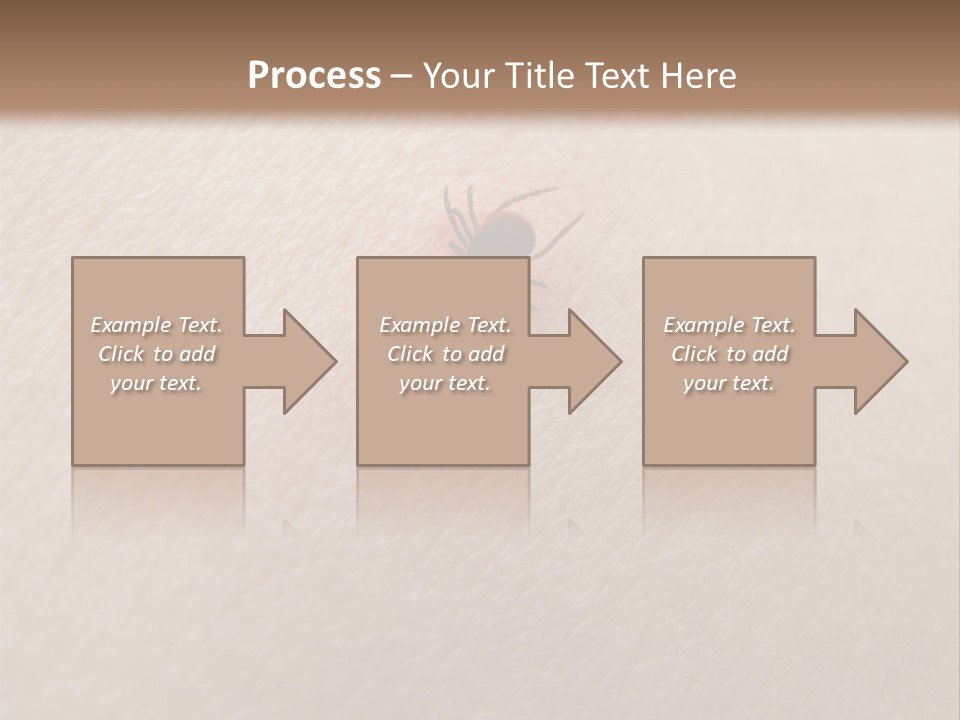 Dangerous Tick Borreliose PowerPoint Template
