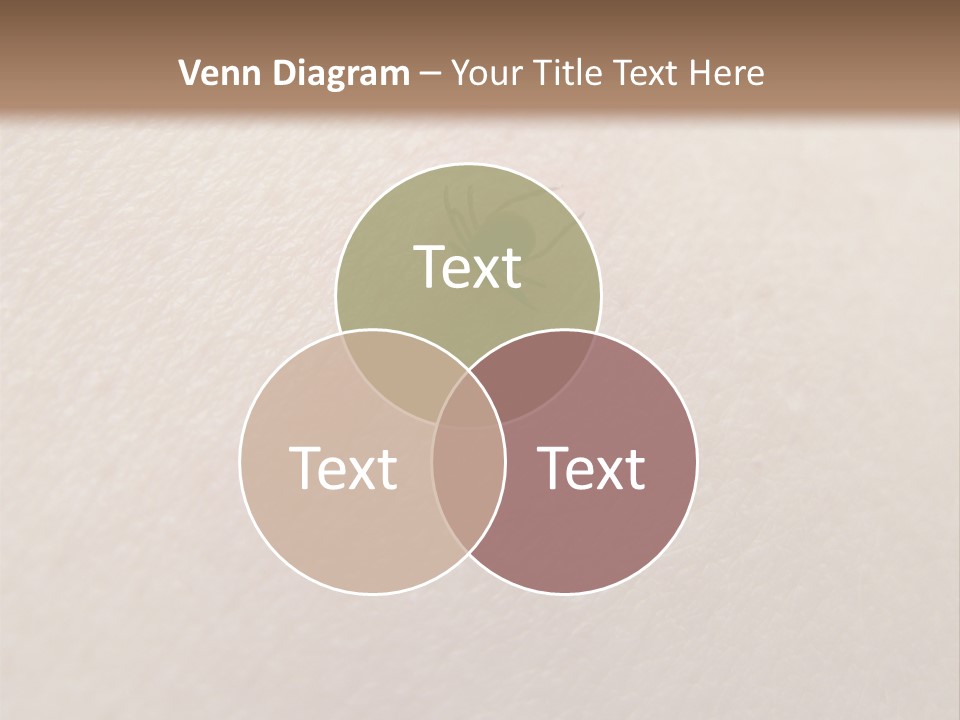 Dangerous Tick Borreliose PowerPoint Template