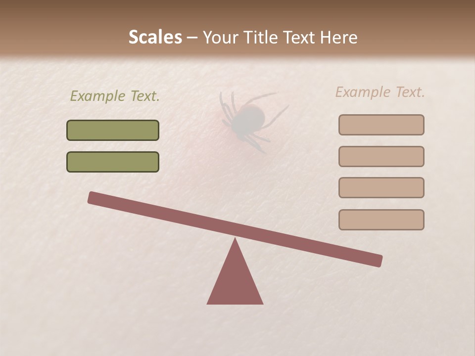 Dangerous Tick Borreliose PowerPoint Template
