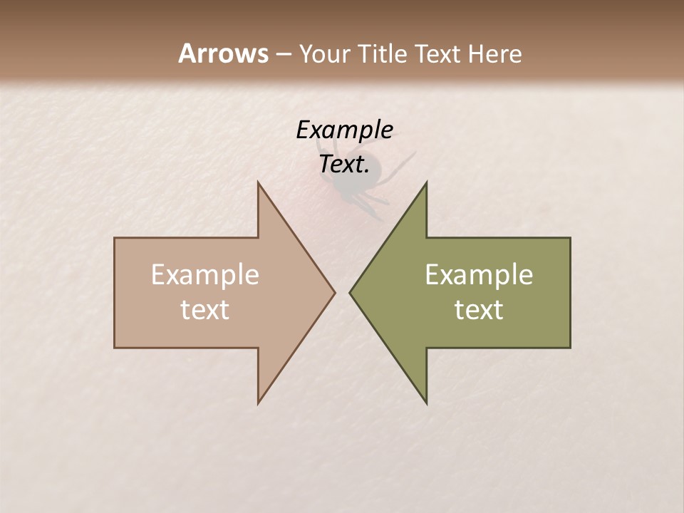 Dangerous Tick Borreliose PowerPoint Template