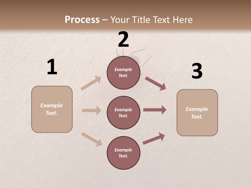 Dangerous Tick Borreliose PowerPoint Template