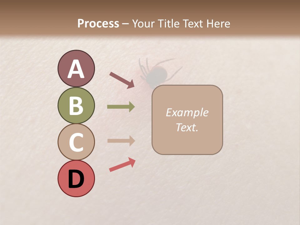 Dangerous Tick Borreliose PowerPoint Template