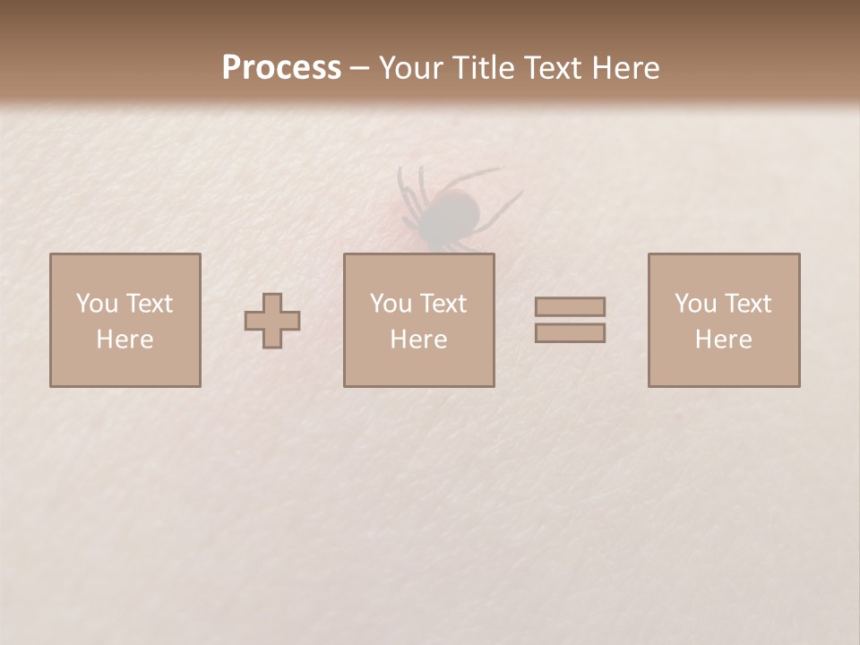 Dangerous Tick Borreliose PowerPoint Template