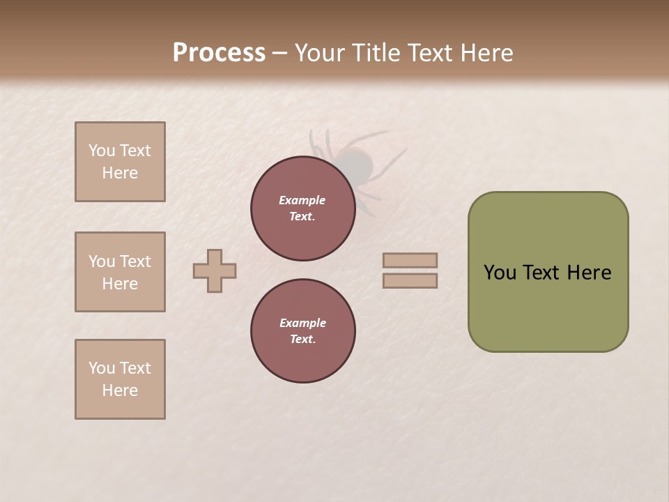 Dangerous Tick Borreliose PowerPoint Template