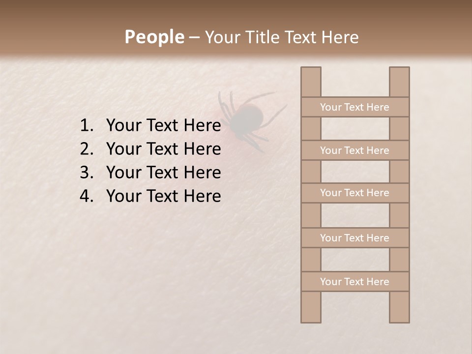 Dangerous Tick Borreliose PowerPoint Template