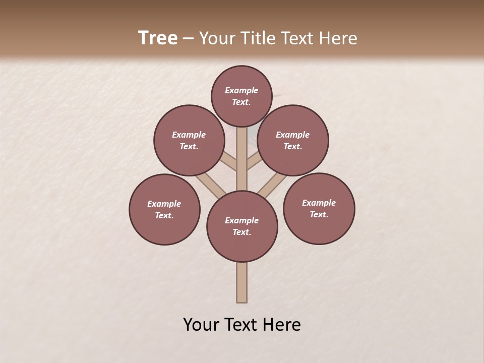 Dangerous Tick Borreliose PowerPoint Template