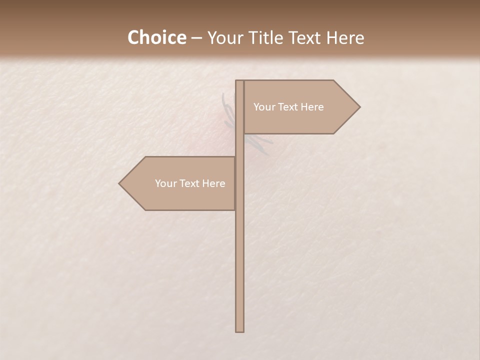 Dangerous Tick Borreliose PowerPoint Template