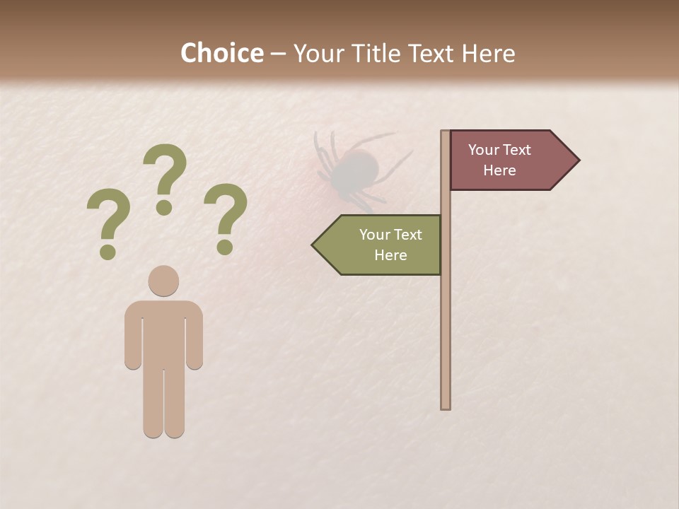 Dangerous Tick Borreliose PowerPoint Template