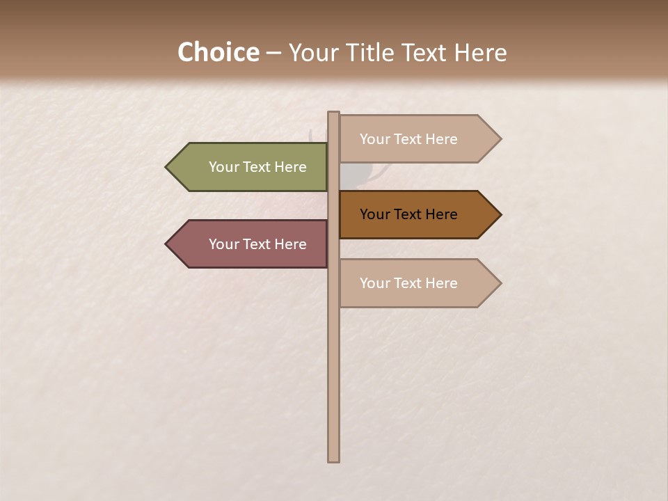 Dangerous Tick Borreliose PowerPoint Template