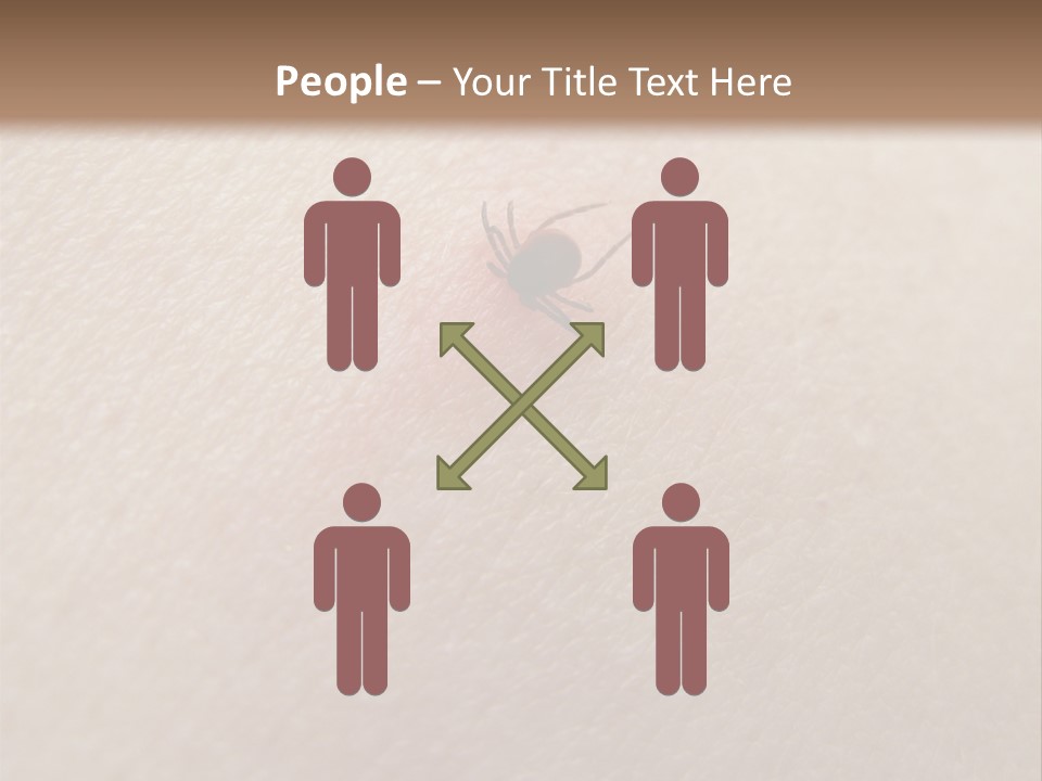 Dangerous Tick Borreliose PowerPoint Template