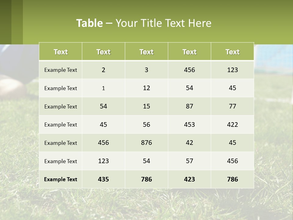 Park Lifestyle Soccer PowerPoint Template