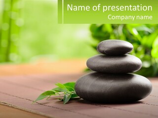 Rock Aromatherapy Tropical PowerPoint Template