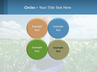 Meadow Allergic Single PowerPoint Template