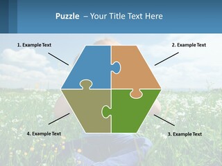 Meadow Allergic Single PowerPoint Template