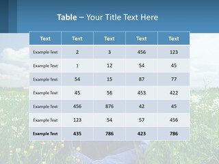 Meadow Allergic Single PowerPoint Template