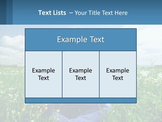 Meadow Allergic Single PowerPoint Template