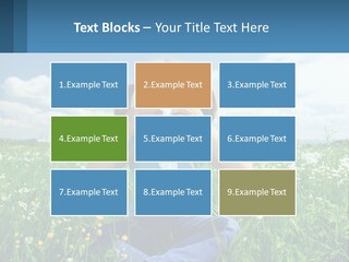 Meadow Allergic Single PowerPoint Template