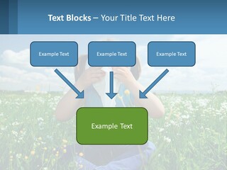 Meadow Allergic Single PowerPoint Template