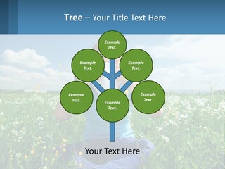 Meadow Allergic Single PowerPoint Template